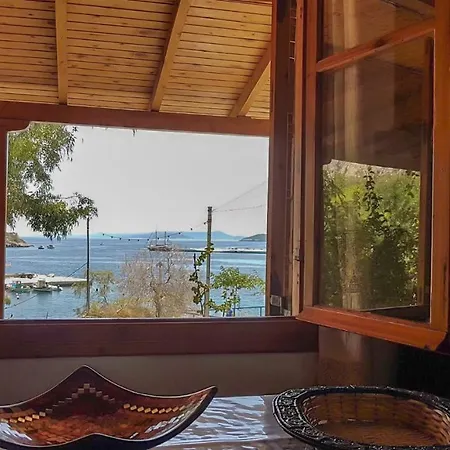 Shipwreck Holiday home